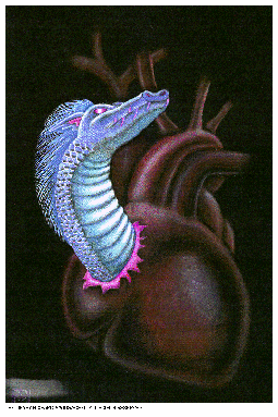 Dragon Heart