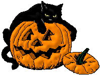 Pumpkin Cat