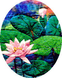 water lily quilt