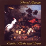 Exotic Birds and Fruit