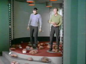 Transporter Tribbles