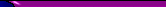 purpletoptop.gif