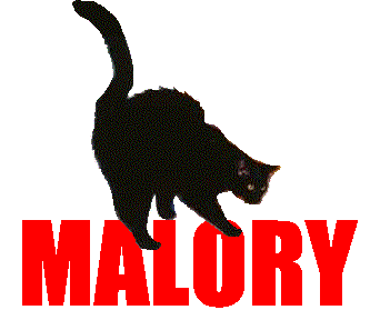 Malory, our cat!