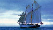 Staysail Schooner