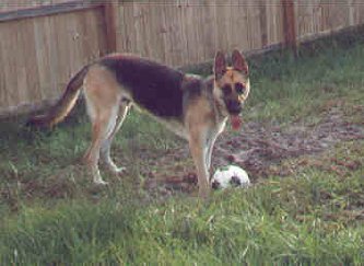 Shadow playing soccer