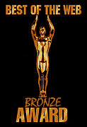 Bronze Award