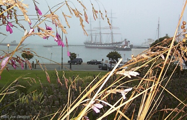 View from Across Aquatic Park