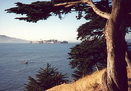 View from Fort Mason in S.F.