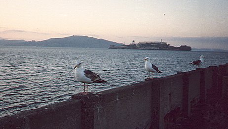 View from Municipal Pier