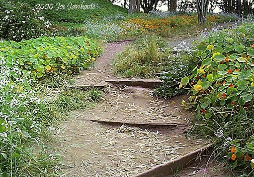 Steps of Dirt and Wood