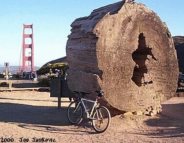 GGB and a Fat Log