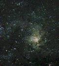 M 33