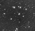 M 44 Praesepe, Beehive Cluster