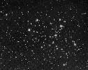 M  6 The Butterfly Cluster