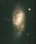 M 66