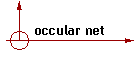 occular net