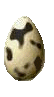 egg