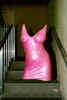 pinklady-stairs.jpg (18093 bytes)