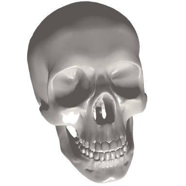 skull