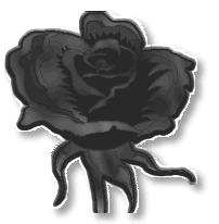 black-rose1.gif (9656 bytes)