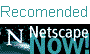 Netscape NOW!