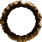 invisring.gif (2792 Byte)