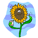 Sunny Sunflower