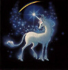 The Last Unicorn