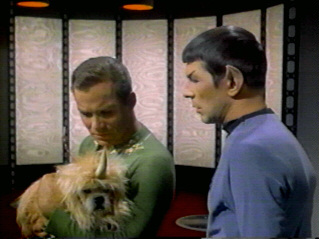 Kirk y spock