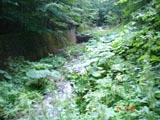 The Peles mountain stream after which the Peles Castle was named.