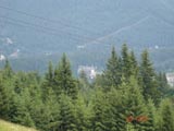 A zoom of the Peles Castle from the cablecar.