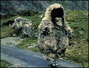 Enemies of Dr Who-Yeti