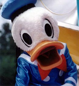 Donald1.jpg (19944 bytes)