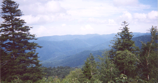 Shining Rock Wilderness, the Smokies