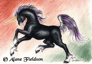 Black Unicorn by Alane Fieldson