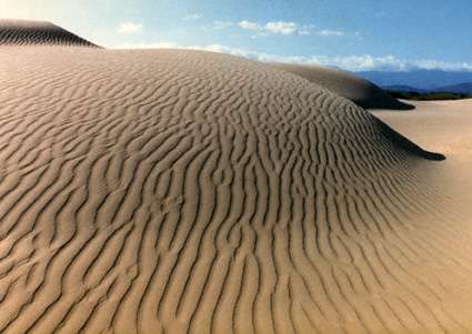 Medanos de Coro