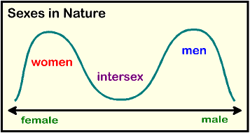 Modern gender expression chart.