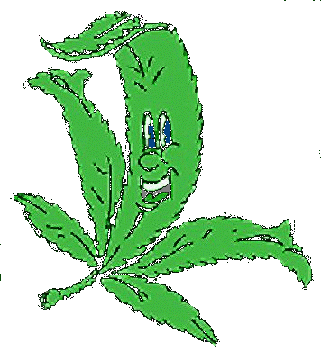 HappyWeed.gif (41685 bytes)