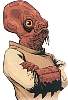 ackbar.jpg