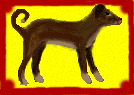 Dog_Standing