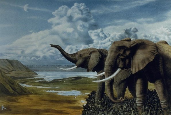 Private Image-Elephants