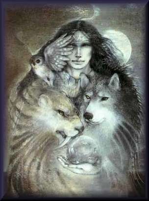 Shapeshifters/Shamanic Wildlife by S.S. Boulet