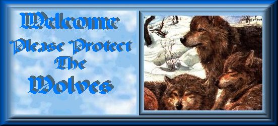 Blue Sky Sno Wolves Pack Blu Welcome Header