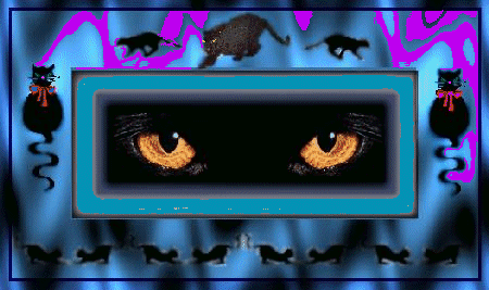 Cat Header