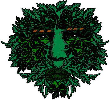 private image-greenman