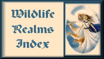 Wildlife Realms Index-Header