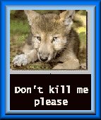 Please Don't Kill Me! Tiny Wolf Pup Button