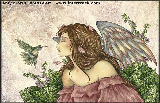 Angel and a Hummingbird