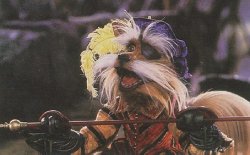 Sir Didymus