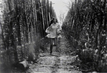 Sarah Runs Through The Labyrinth